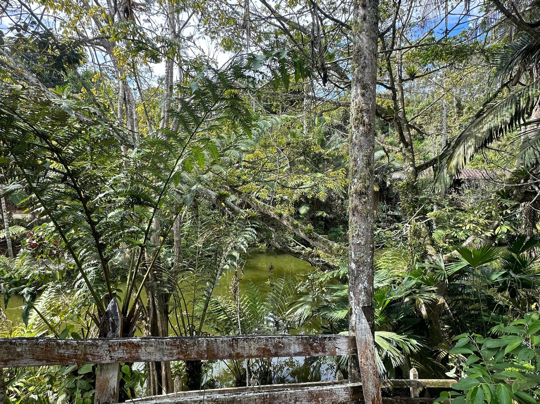 Eco Hotel Los Lagos主图