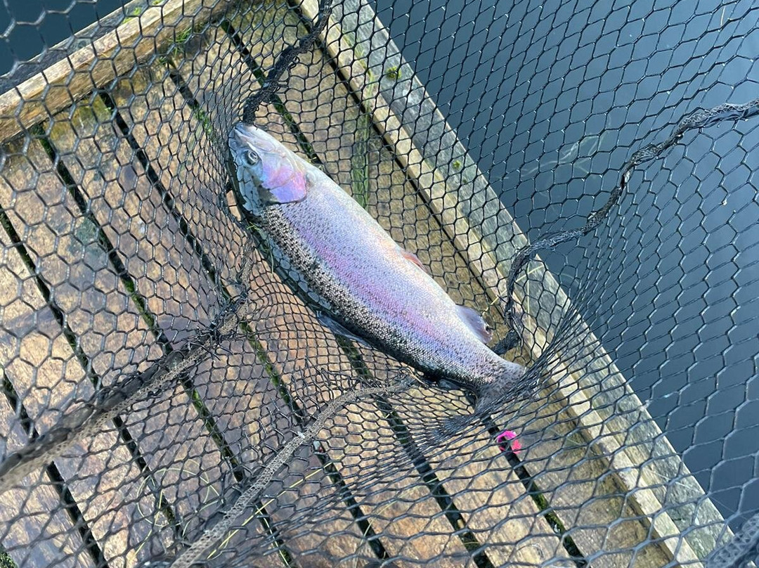 Birchwood Fishery-Drumquin必去景点