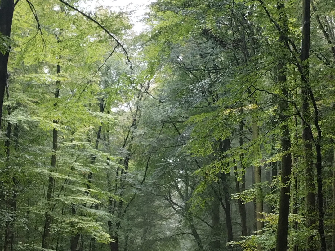 Landidyll Hotel Gasthof zum Freden主图