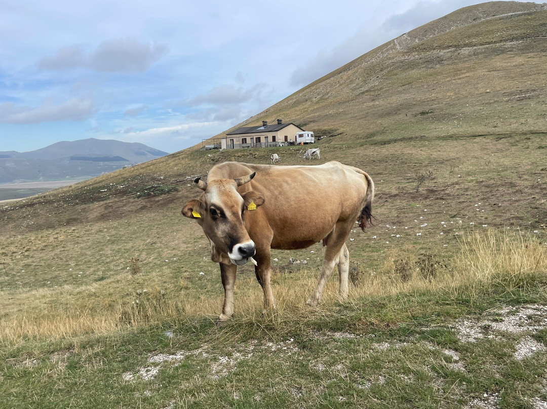 Parco Nazionale dei Monti Sibillini景点图片