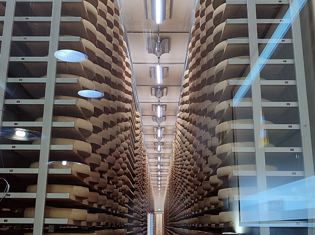 Käsekeller Begenzerwald-林格瑙必去景点