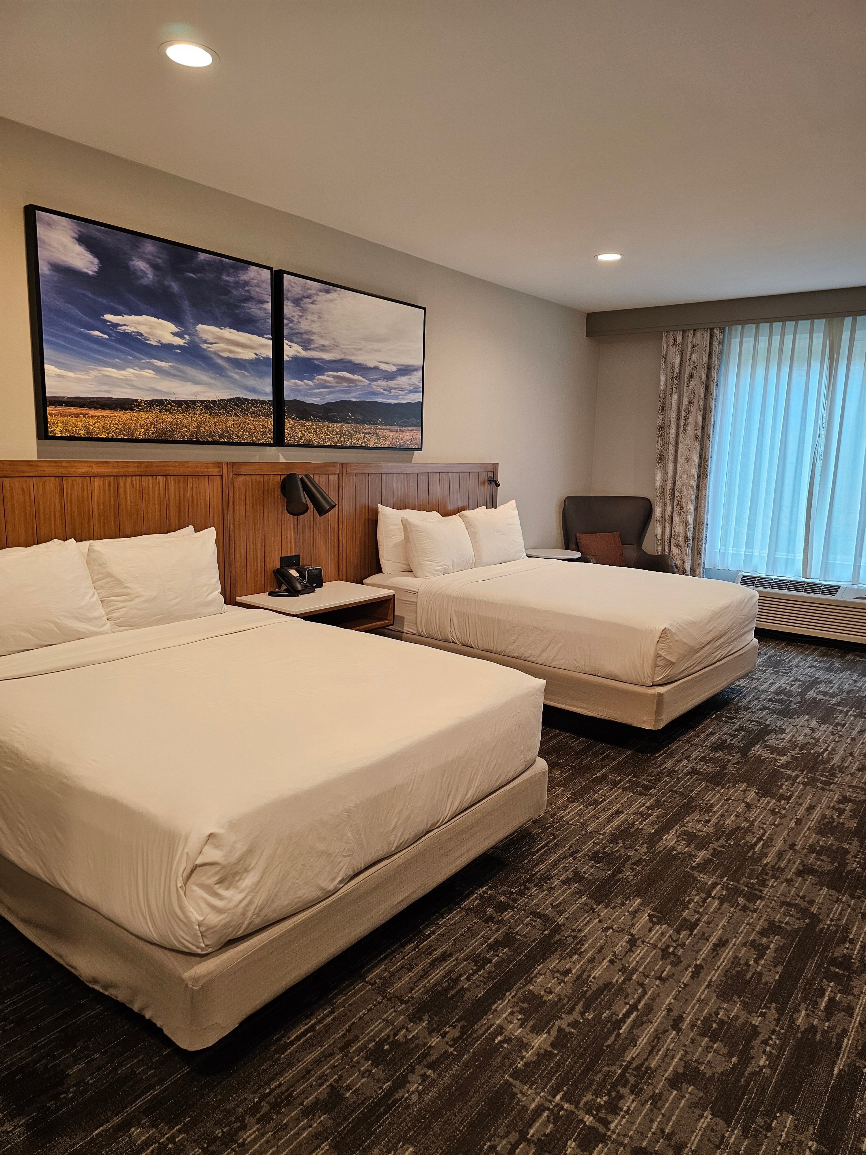 Ayres Hotel Vista Carlsbad-客卧
