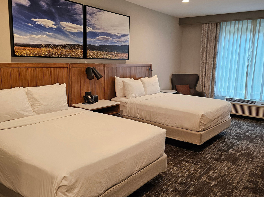 Ayres Hotel Vista Carlsbad主图