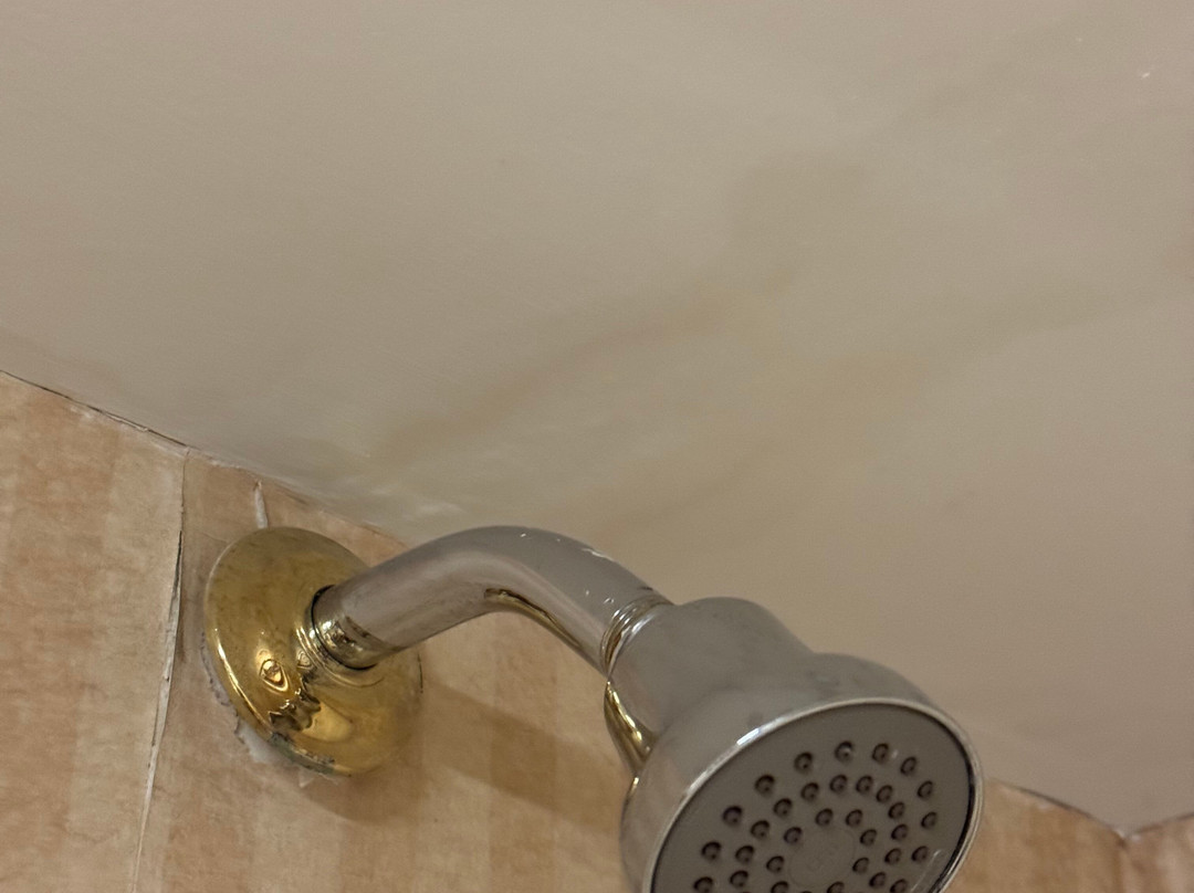 The Bertram Inn & Conference Center, Trademark Collection Hotel主图