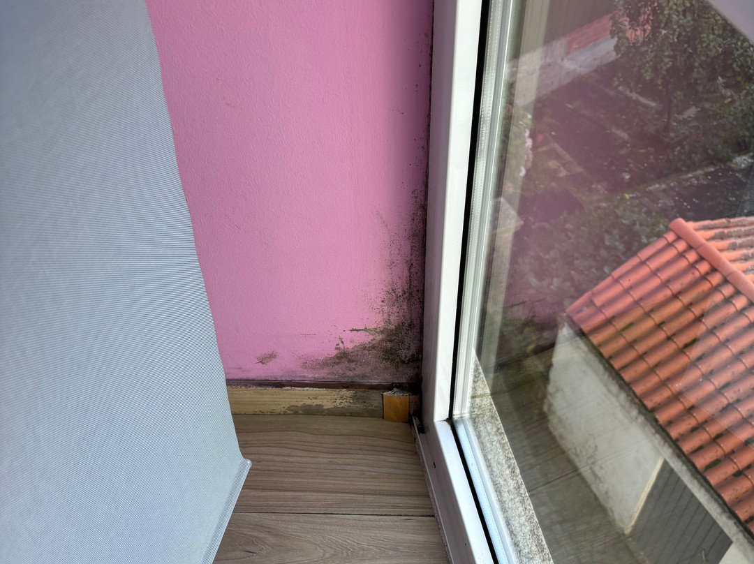 Pension Pardellas主图