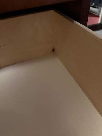 Ambassador Motel-官方