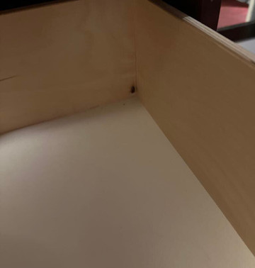 Ambassador Motel主图