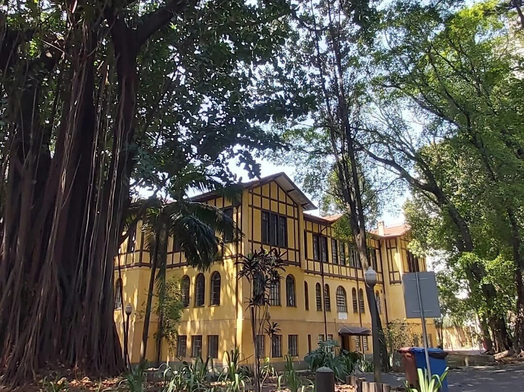 Parque Da Água Branca-圣保罗必去景点