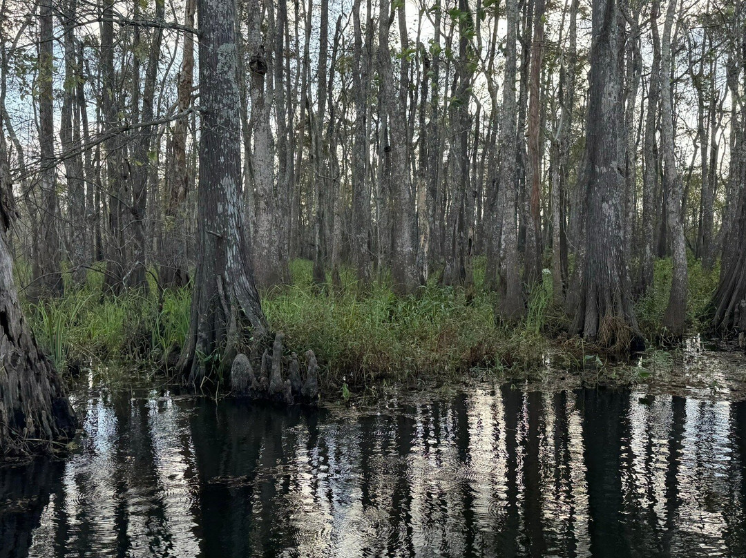 Dragon Lady Airboats-奥兰治必去景点