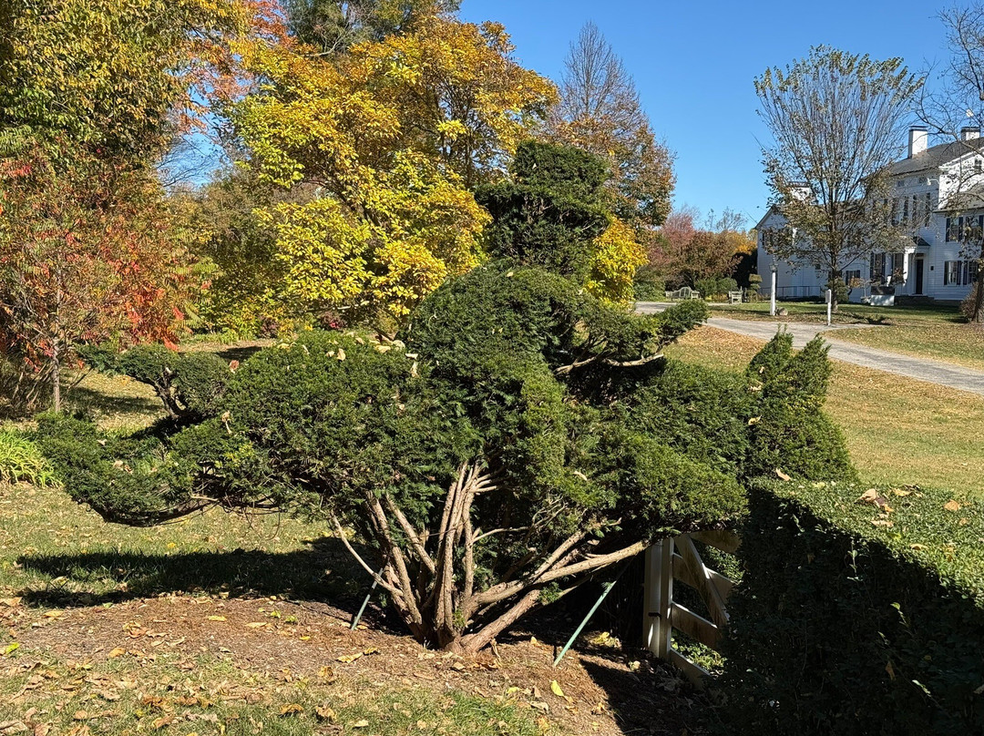 Ladew Topiary Gardens景点图片
