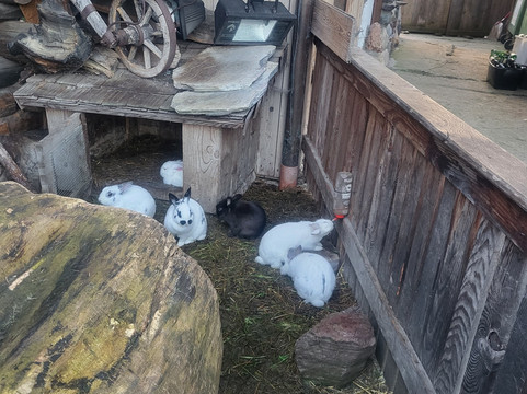 Hotel Pension Sieglhub主图