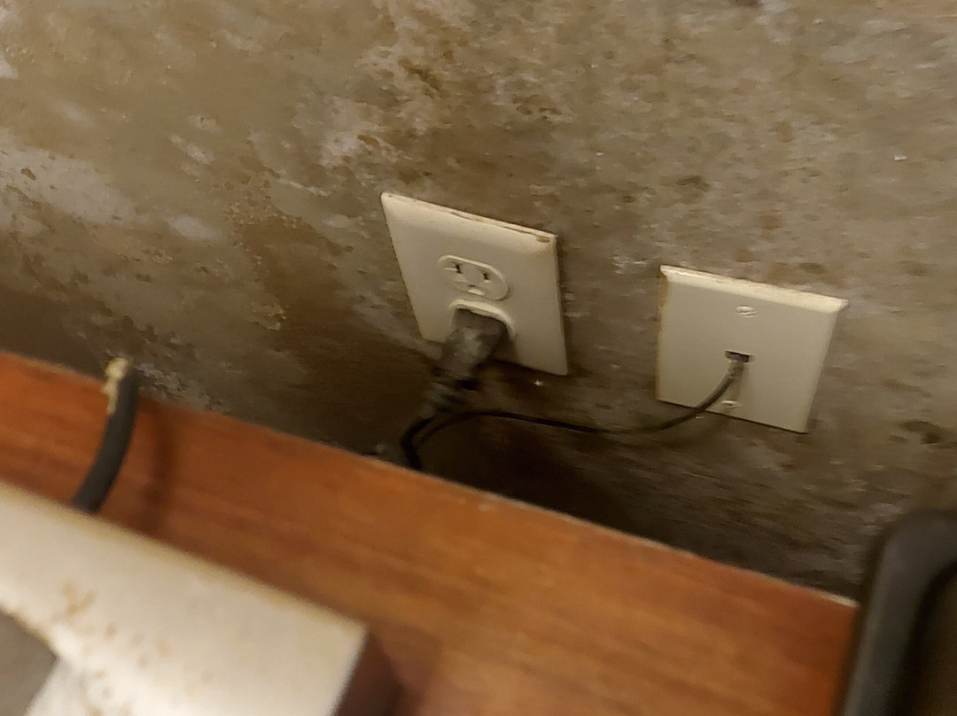 Comfort Inn & Suites主图