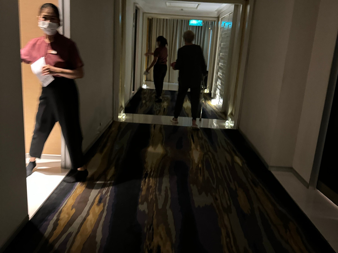 Heavena Wellness & Spa景点图片