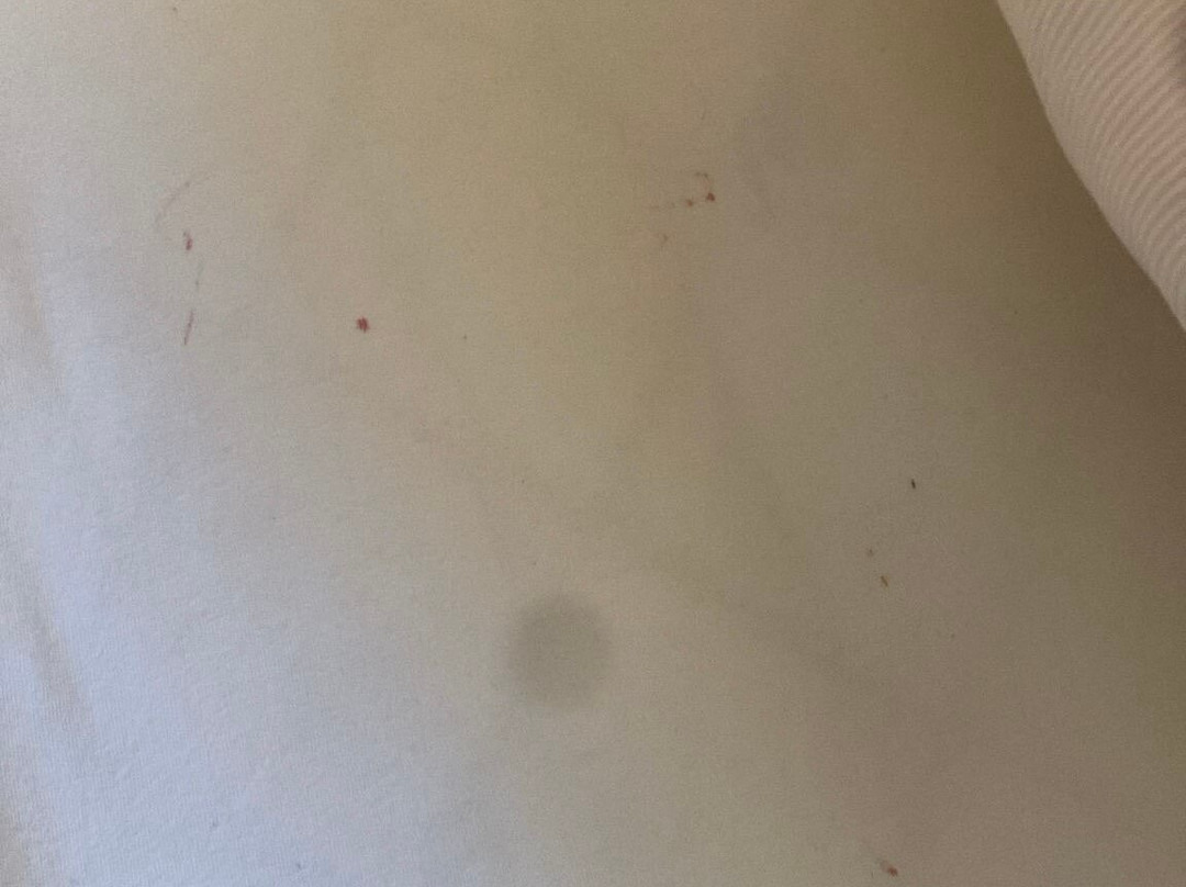 Hotel Wiesenhof主图