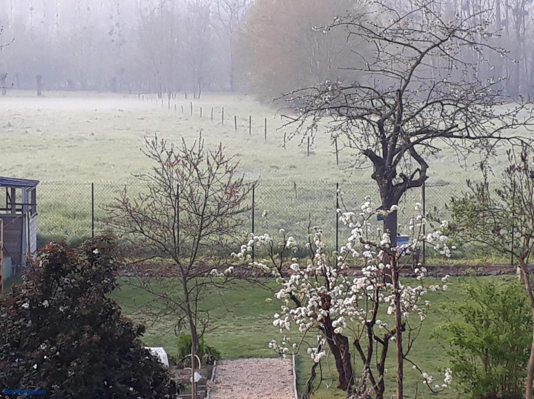 Bedloire