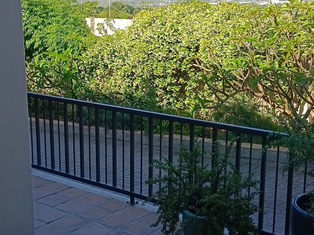 Paperbark Manor主图