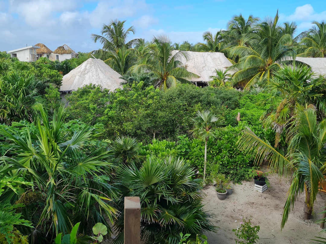 Casa Mia El Cuyo Eco Beach Boutique主图