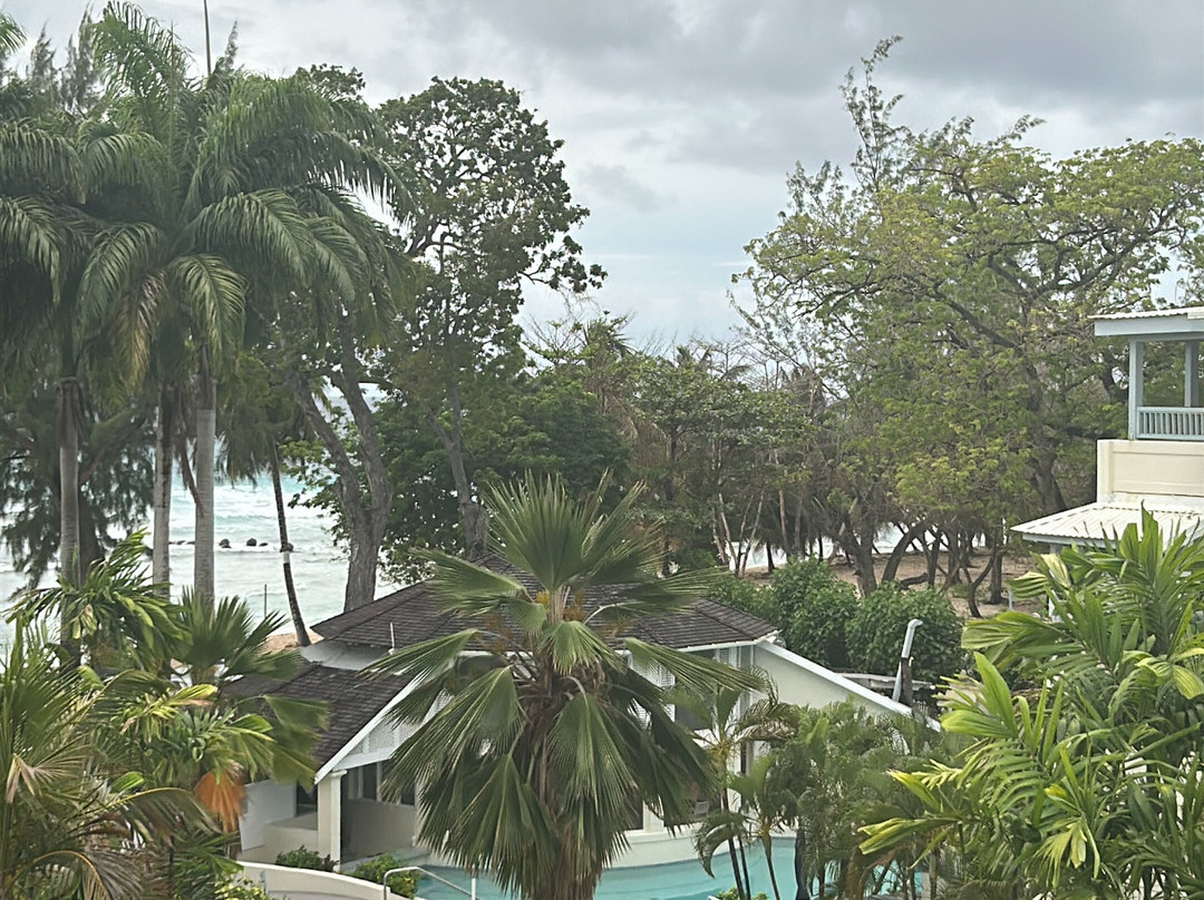 萨瓦纳酒店主图