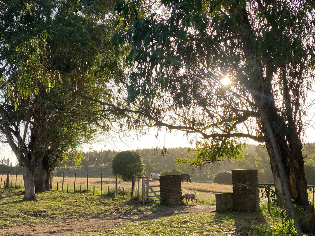 Estancia La Pilona Horse Farm-Mariscala必去景点