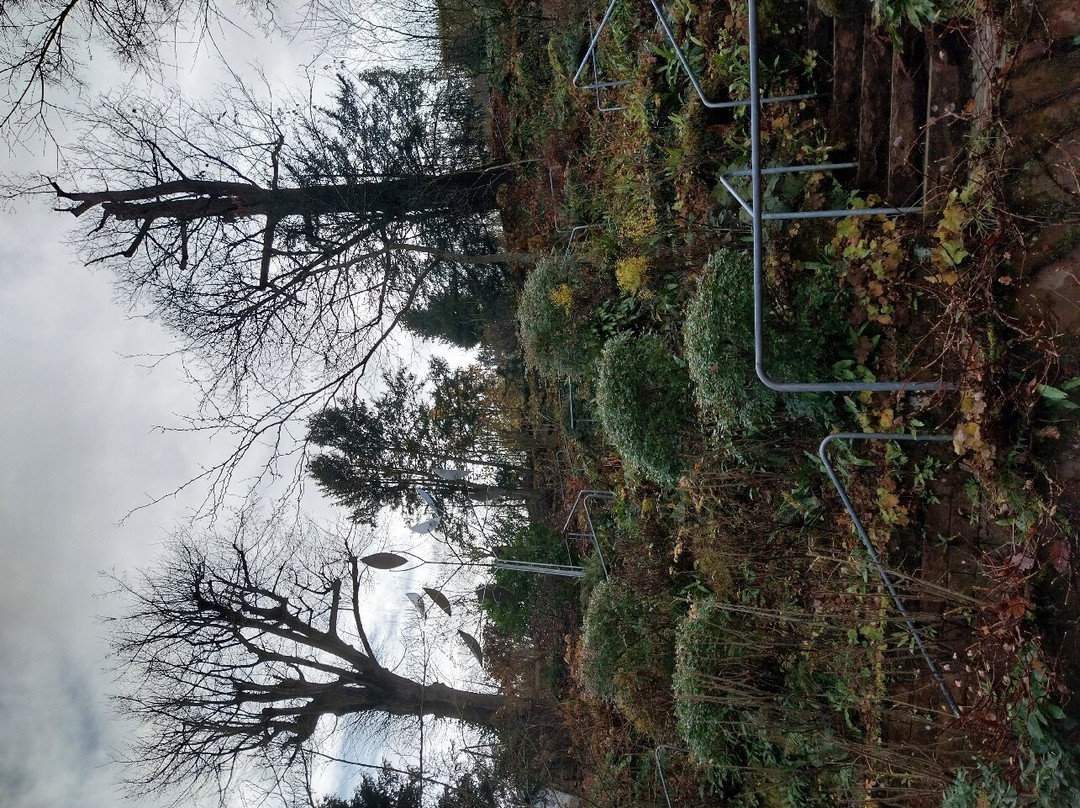 Carl Bosch Museum-海德尔堡必去景点