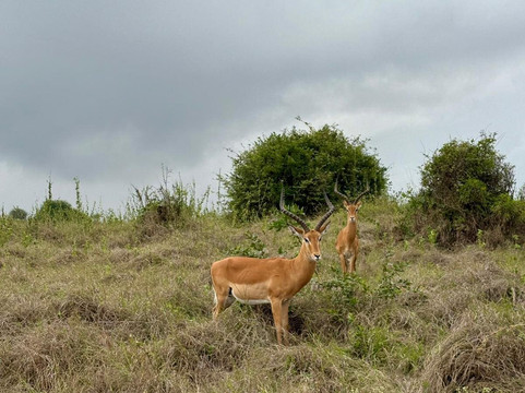 Epic Views Tours & Travel-内罗毕必去景点