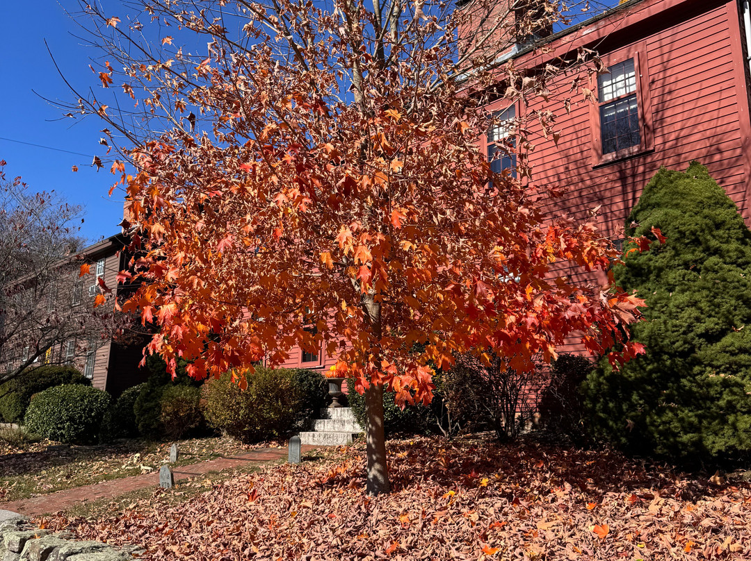 The Ipswich Inn主图