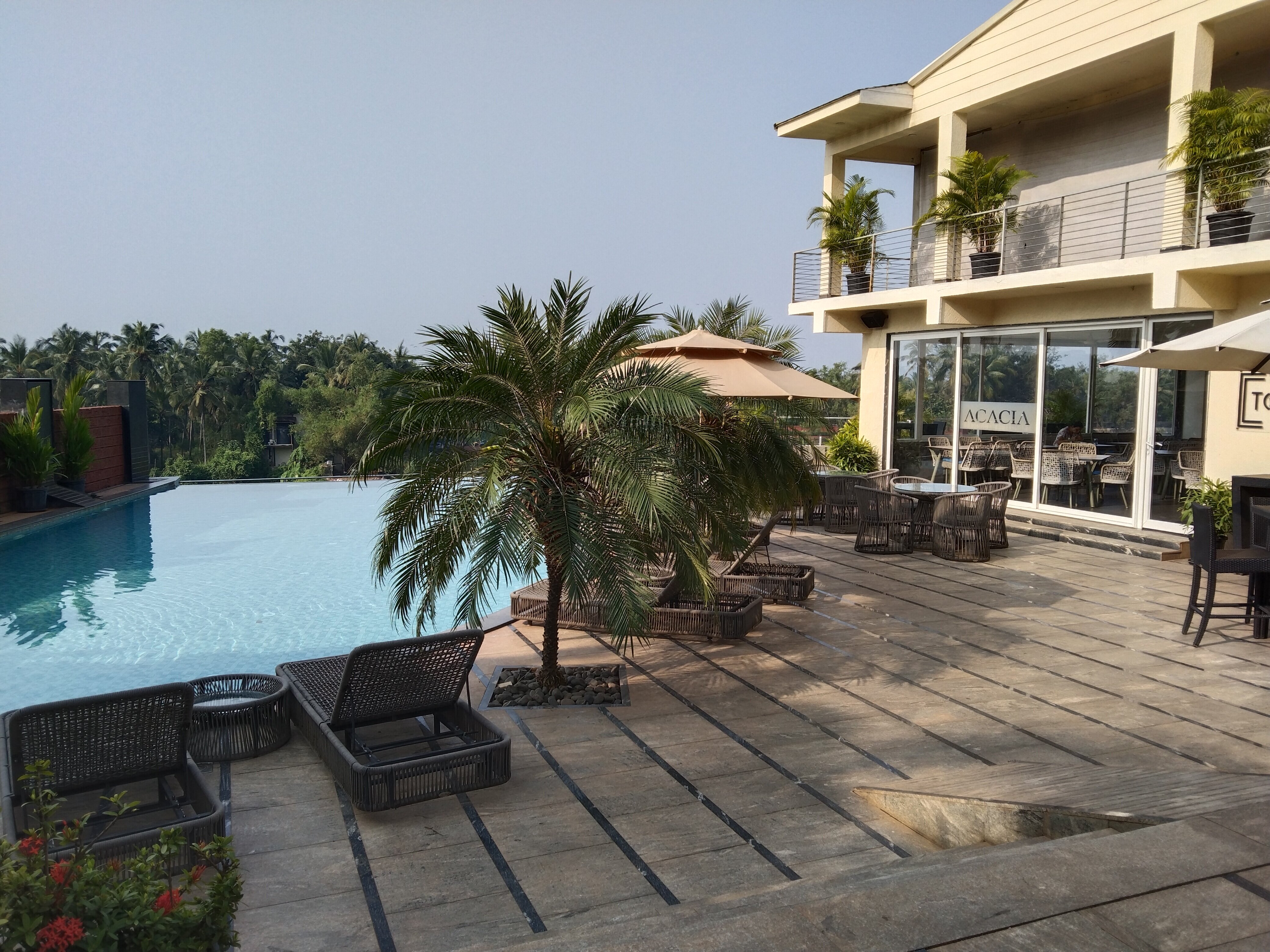 The Acacia Morjim, Goa-泳池