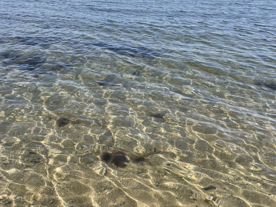 Portarlington Beach-Portarlington必去景点