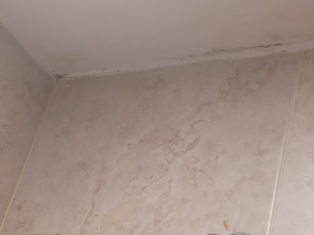 Wyndham Garden Guadalajara Acueducto主图