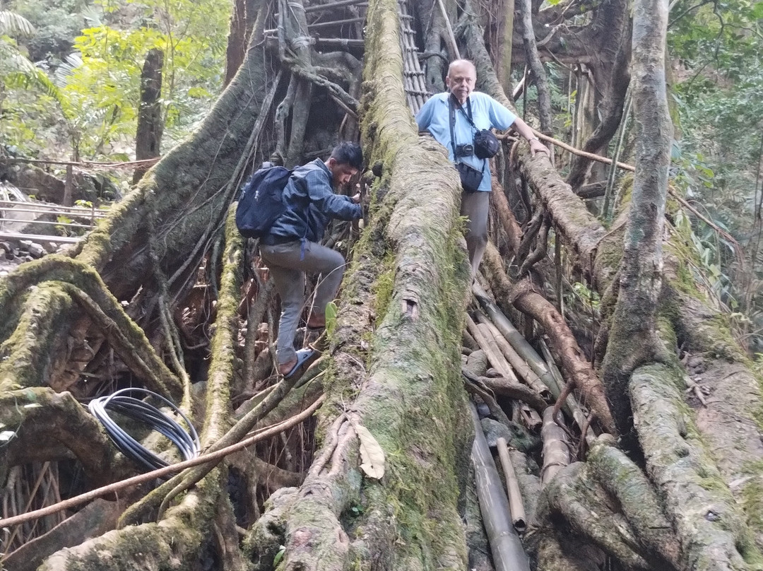 Meghalaya Eco-Tourism景点图片