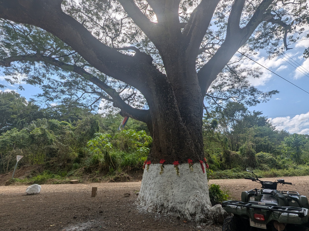 Scubacaribe, Costa Rica景点图片