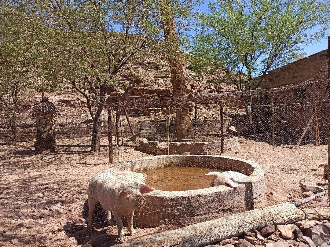 Seeheim Hotel Namibia主图