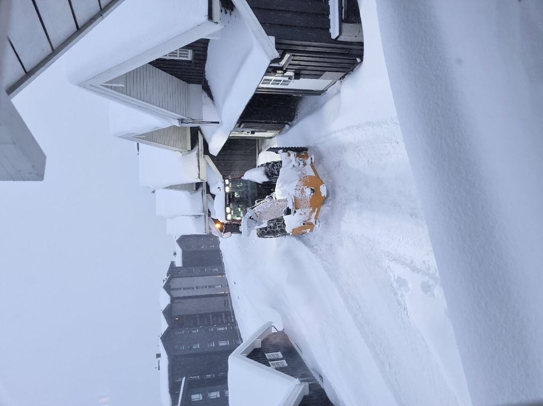 Beitostolen Ski Center-Beitostolen必去景点