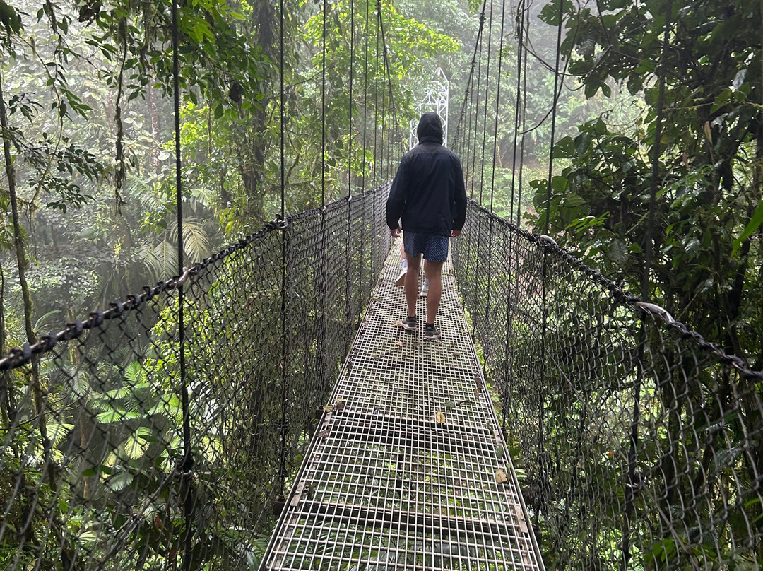 Dees Costa Rica Tours景点图片