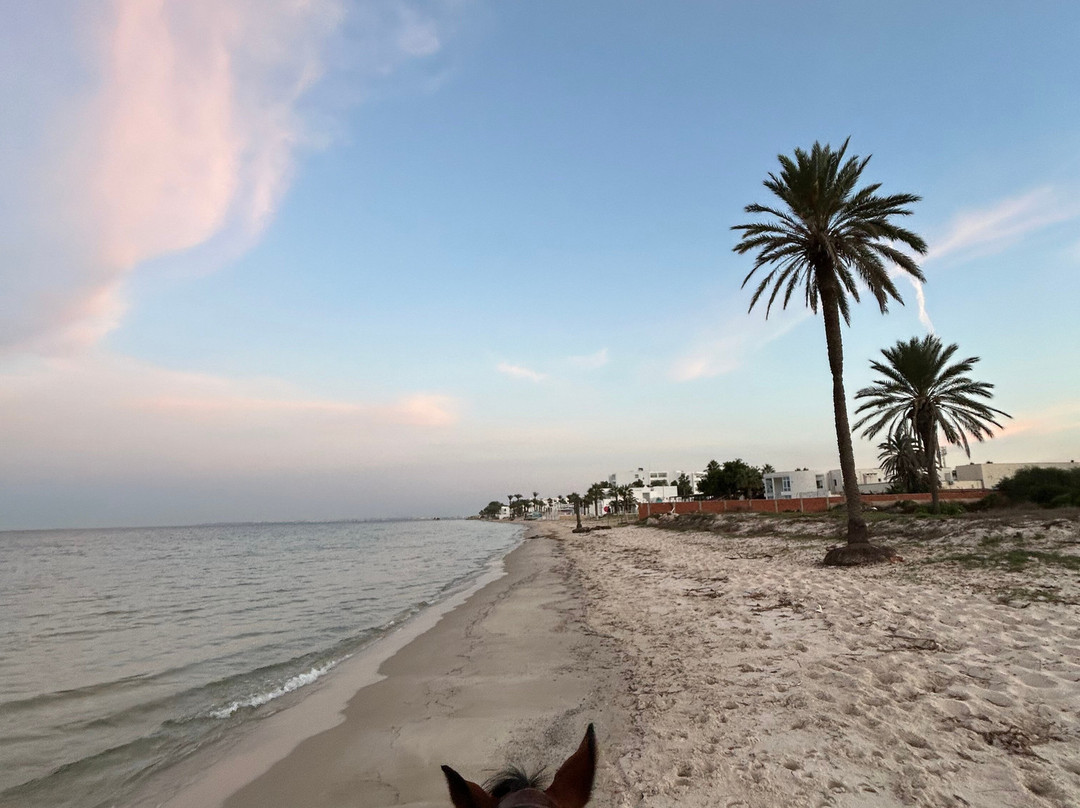 EkiClub-摩纳斯特必去景点