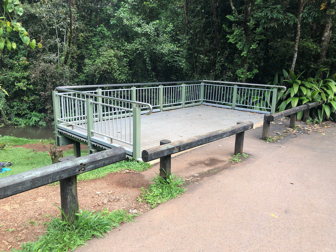 Millaa Millaa Falls-Millaa Millaa必去景点