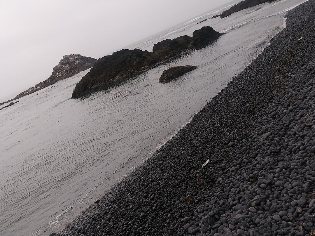 Cobble Beach-纽波特必去景点