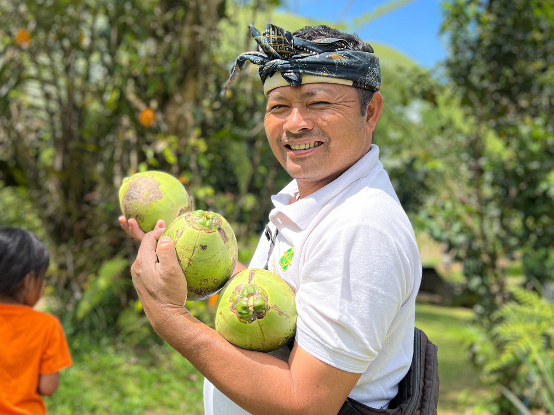 Bali Firefly Night Tour-Tegallalang必去景点