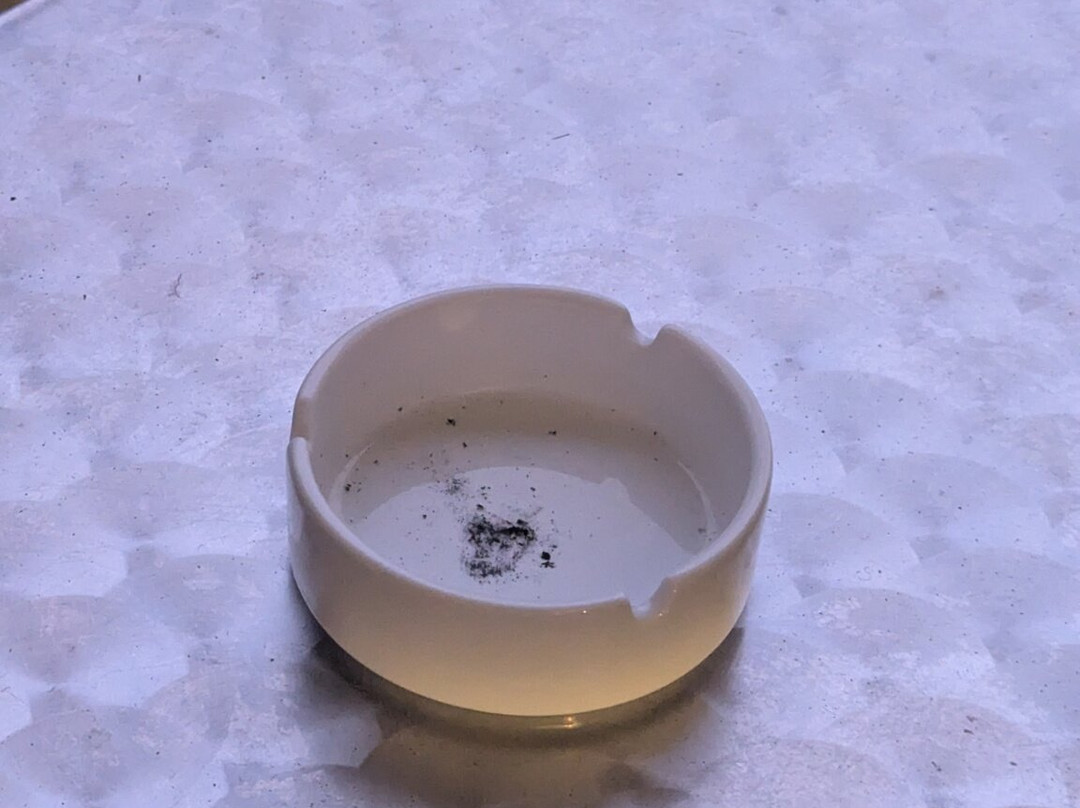 Seehotel Schwanenhof主图