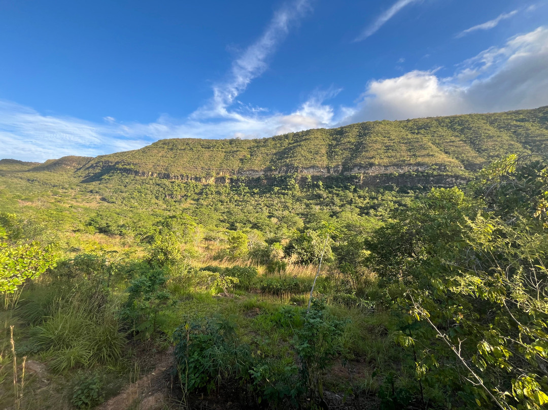 Finca San Pedro主图