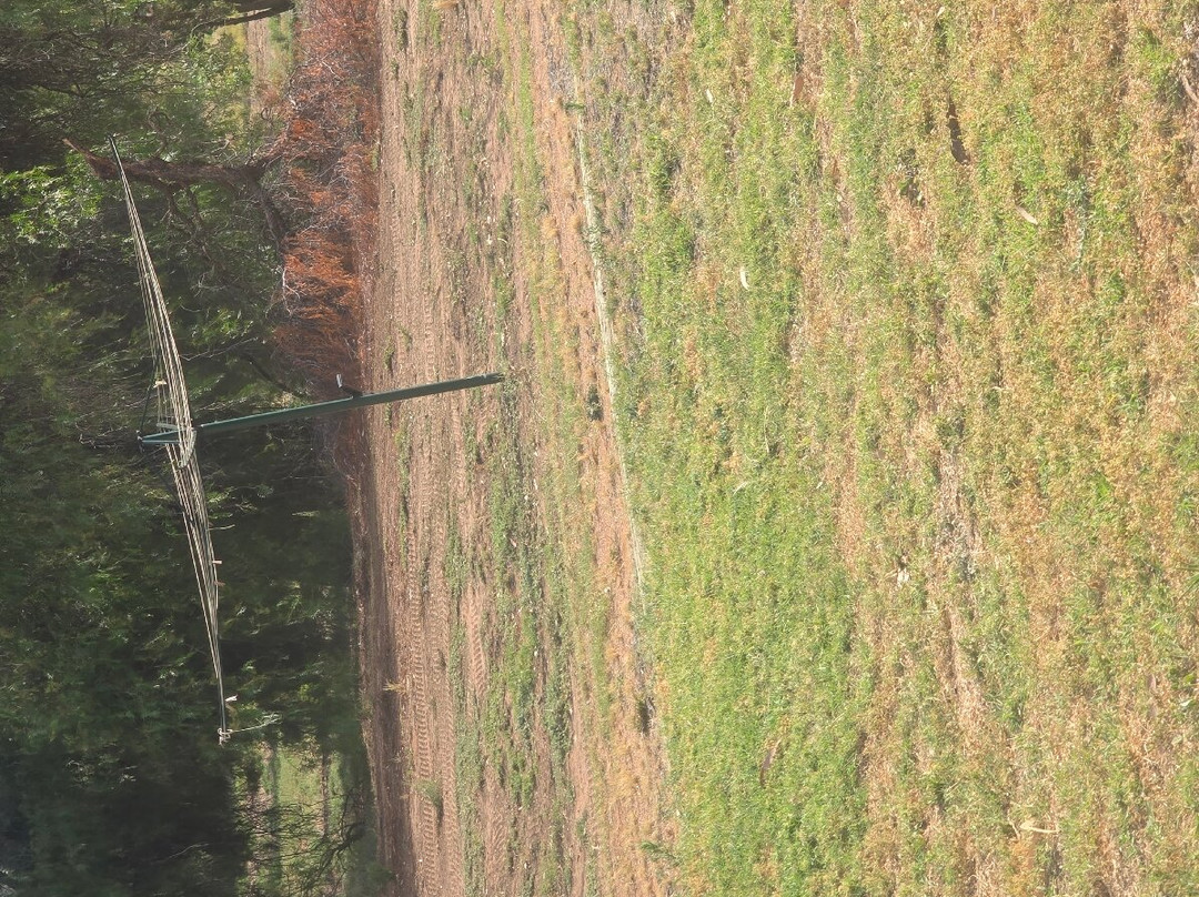 Renmark Country Club主图