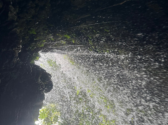 Sierra Private Tours