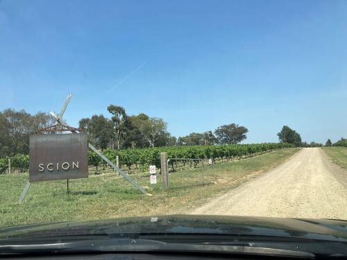Scion Wine景点图片
