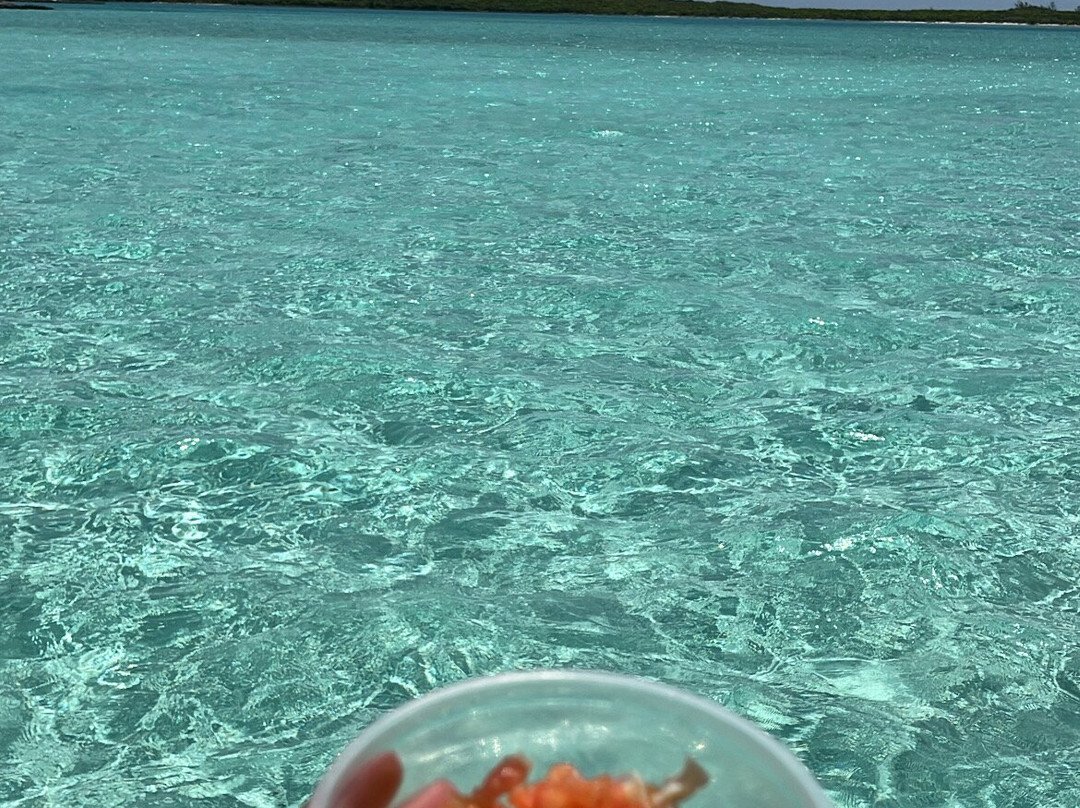 Sugar Adventure Company-day Boat Tours-大埃克苏马必去景点