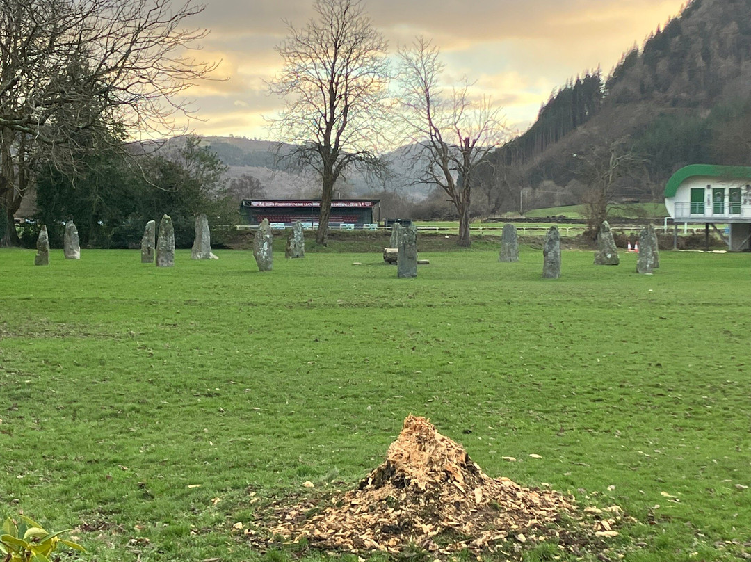 Gorsedd Stone Circle景点图片