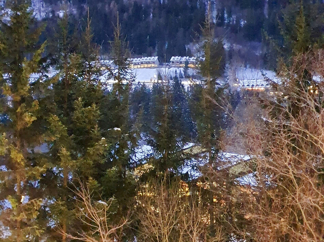 Albergo Adriatico主图