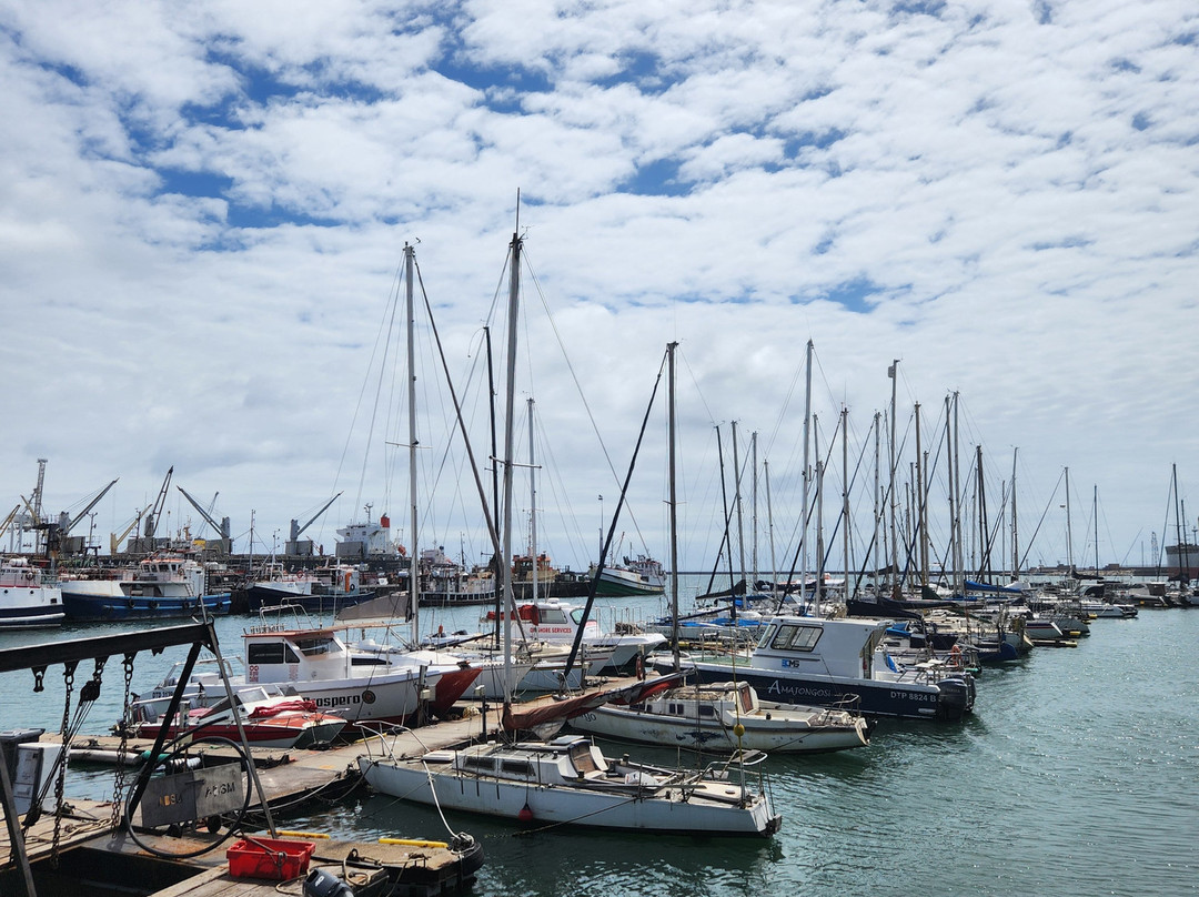 Umzantsi Afrika Tours-伊丽莎白港必去景点