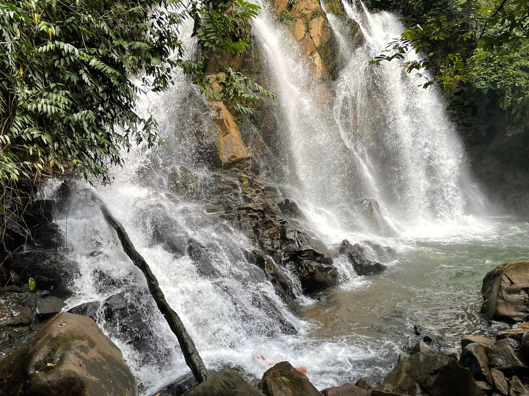 Gabon Adventure Tours-Oyem必去景点