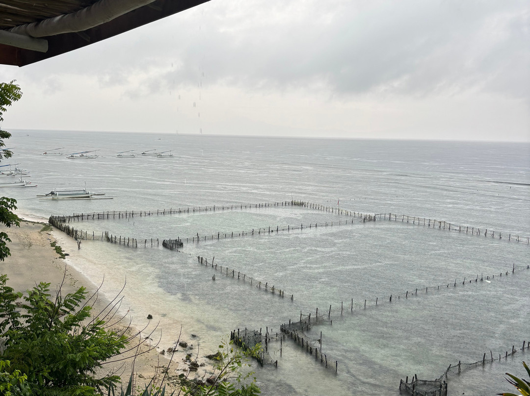 The Chill Penida主图