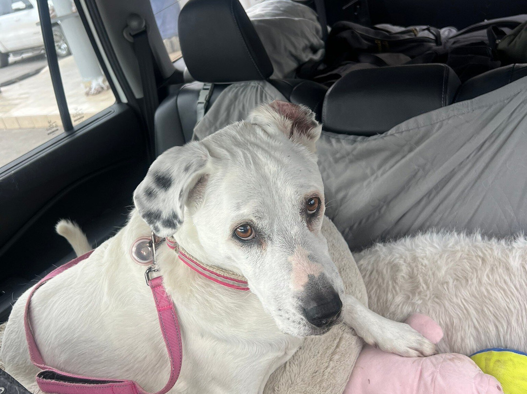 Hampton Inn by Hilton Villahermosa主图